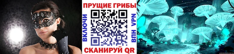 Галлюциногенные грибы прущие грибы  OMG как зайти  Сычёвка  дарнет шоп 